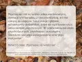 Psychopaci nie są zdezorientowani ani nie mają kontaktu z rzeczywistością. W odróżnieniu od socjopatów, są świadomi swoich działań.