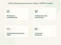 Cztery niedoreprezentowane objawy ADHD u kobiet: wewnętrzna hiperaktywność, perfekcjonizm jako kompensacja, dysregulacja emocjonalna (RSD) i chroniczne zmęczenie.