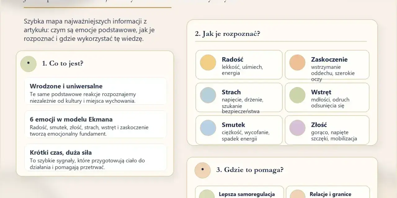 Mapa emocji podstawowych Ekmana: radość, smutek, złość, strach, wstręt, zaskoczenie. Jak je rozpoznać i wykorzystać.