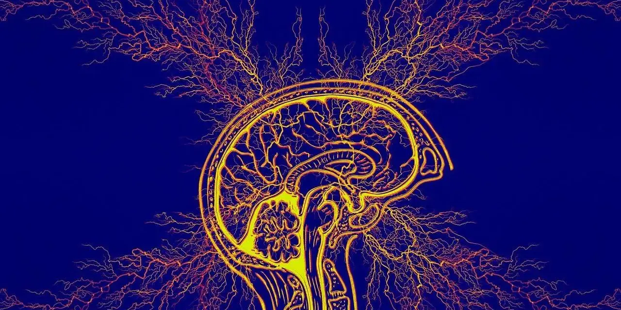 Stylizowany przekrój mózgu z rozchodzącymi się impulsami nerwowymi, symbolizujący diagnozę ADHD u dorosłych.
