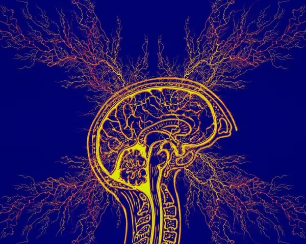 Stylizowany przekrój mózgu z rozchodzącymi się impulsami nerwowymi, symbolizujący diagnozę ADHD u dorosłych.