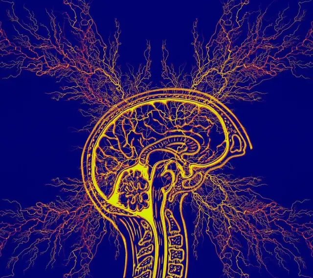 Stylizowany przekrój mózgu z rozchodzącymi się impulsami nerwowymi, symbolizujący diagnozę ADHD u dorosłych.
