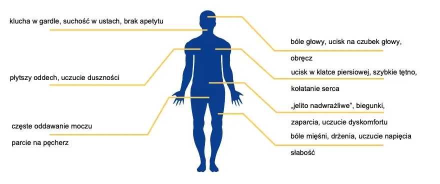 Zespół lęku uogólnionego: Czy to GAD? Objawy, leczenie, spokój