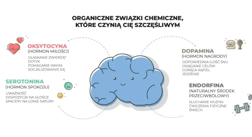 Dopamina, hormon nagrody, uwalnia się podczas snu, osiągania celów, kąpieli i jedzenia. Obrazek przedstawia mózg i związki chemiczne szczęścia.
