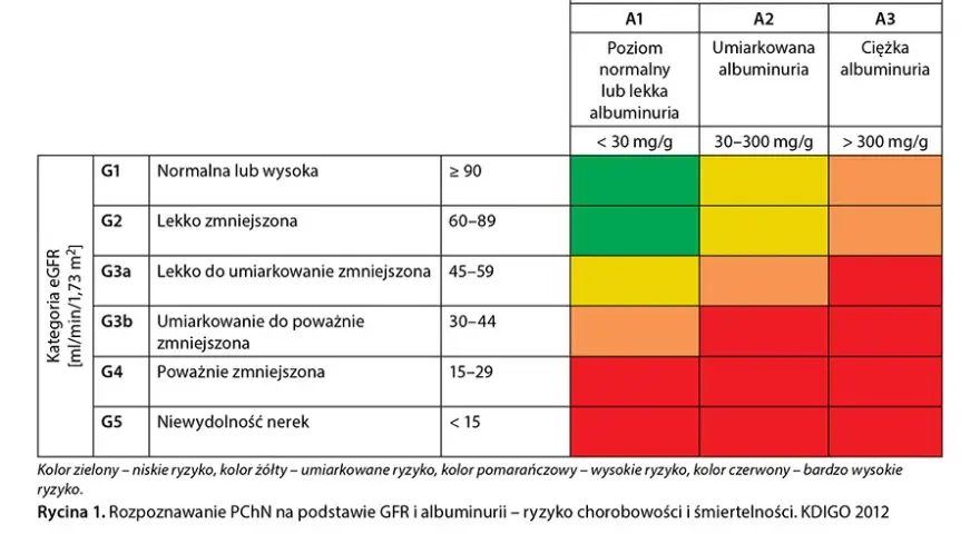 Niewydolność nerek a psychika: Depresja, lęk, mgła mózgowa?