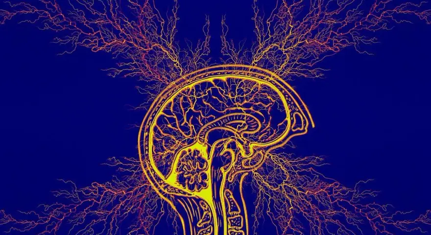 Stylizowany przekrój mózgu z rozchodzącymi się impulsami nerwowymi, symbolizujący diagnozę ADHD u dorosłych.