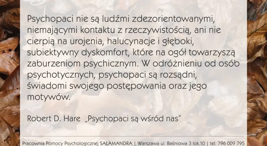Psychopaci nie są zdezorientowani ani nie mają kontaktu z rzeczywistością. W odróżnieniu od socjopatów, są świadomi swoich działań.