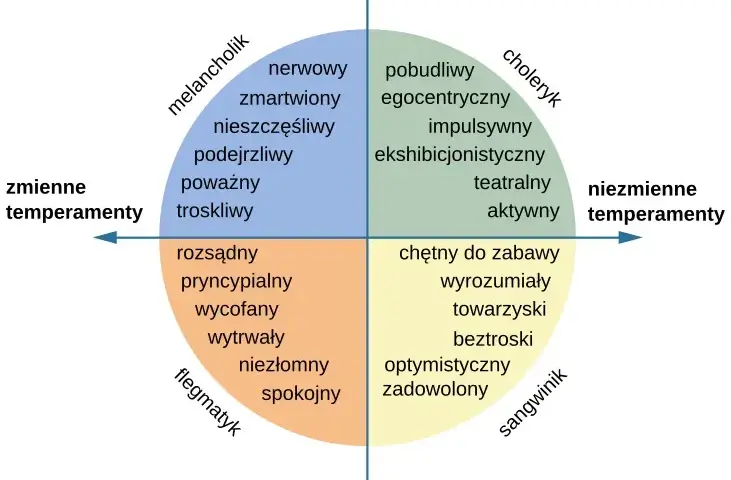 Osobowość: czy jest stała? Psychologia o jej zmienności i rozwoju