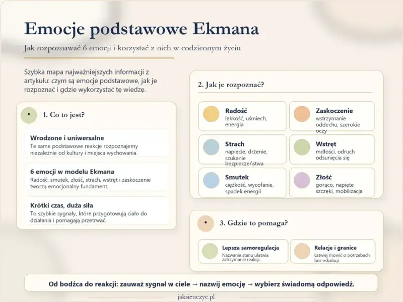 Mapa emocji podstawowych Ekmana: radość, smutek, złość, strach, wstręt, zaskoczenie. Jak je rozpoznać i wykorzystać.