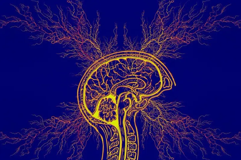 Stylizowany przekrój mózgu z rozchodzącymi się impulsami nerwowymi, symbolizujący diagnozę ADHD u dorosłych.